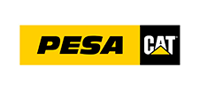 logo pesa